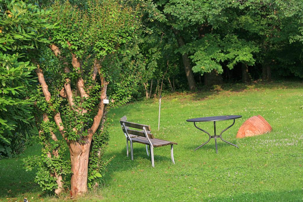 Castello Rosso Hotel Costigliole Saluzzo Kültér fotó